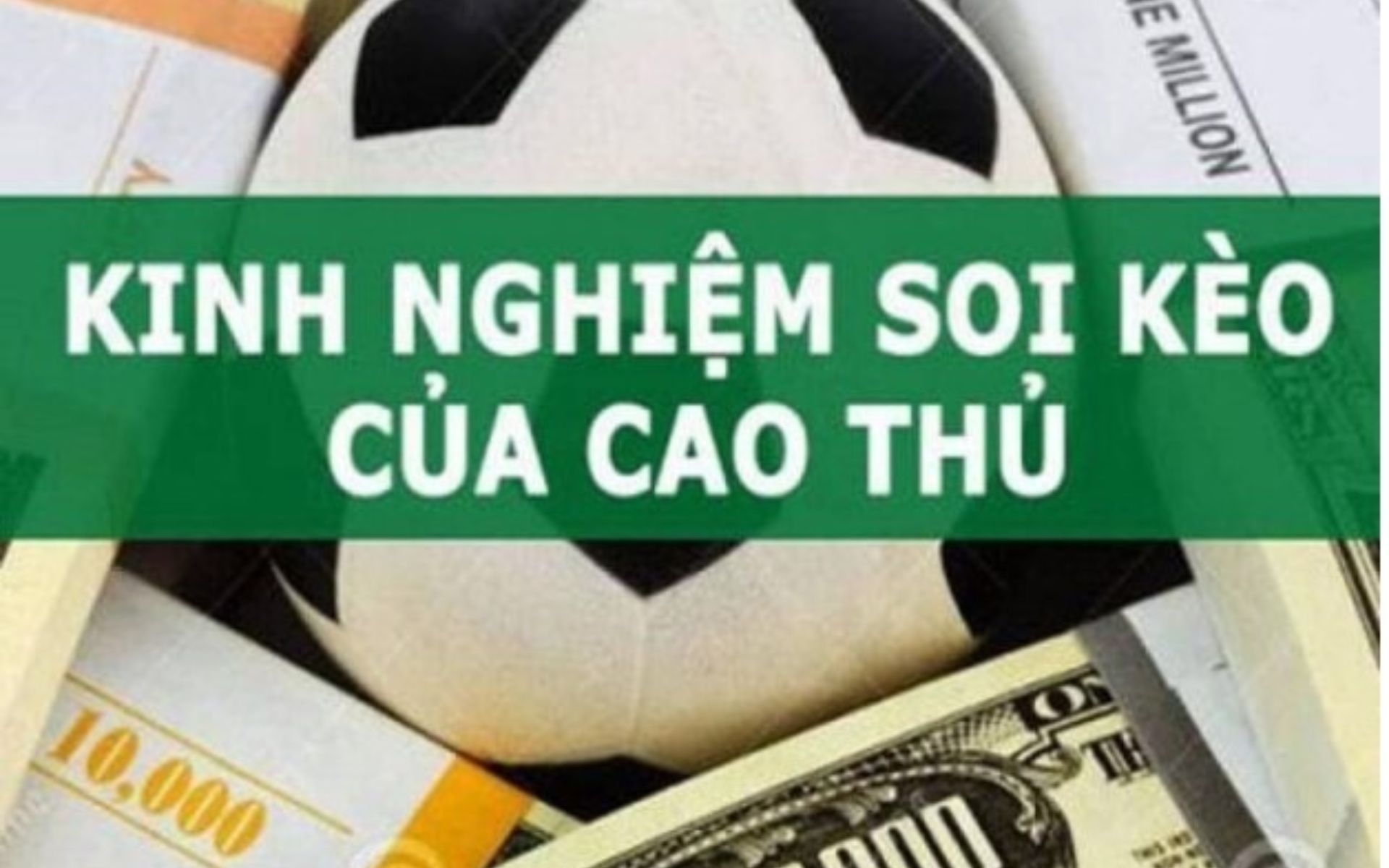 Giải mã bo nhà cái Bí quyết chọn bot thắng từ chuyên gia 8Xbet